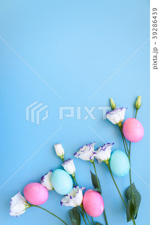 Easter eggs and spring flowers narcissi on blue ba 39286439