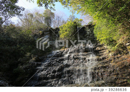 権現滝(程野の滝) (高知県いの町) 権現滝(程野の滝) (高知県いの町) 39286636