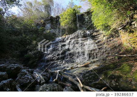 権現滝(程野の滝) (高知県いの町) 権現滝(程野の滝) (高知県いの町) 39286637