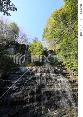権現滝（程野の滝）　（高知県いの町） 39286640