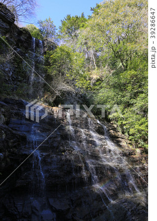 権現滝（程野の滝）　（高知県いの町） 39286647