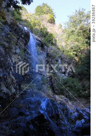 西滝（程野の滝）　（高知県いの町） 39286867