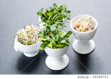Different types of micro greens in white bowls for 39288753