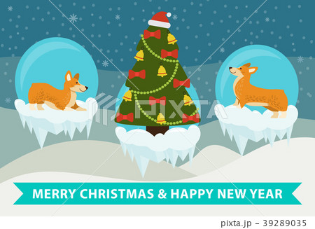 Merry Christmas and Happy New Year Corgi Congrats 39289035