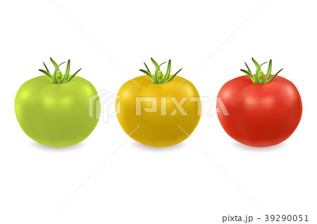 Vector 3d realistic green, yellow and red tomato 39290051