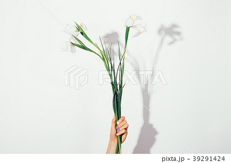 White flowers with long stems in a female hand White flowers with long stems in a female hand 39291424