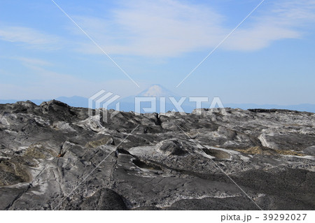 三浦半島城ケ島・長津呂の磯 三浦半島城ケ島・長津呂の磯 39292027