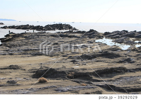 三浦半島城ケ島・長津呂の磯 三浦半島城ケ島・長津呂の磯 39292029