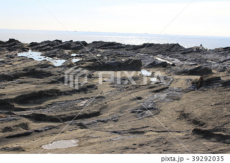 三浦半島城ケ島・長津呂の磯 39292035