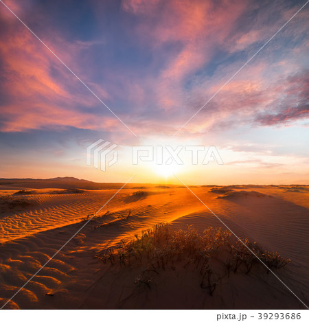 Sand dunes under amazing evening sunset sky 39293686