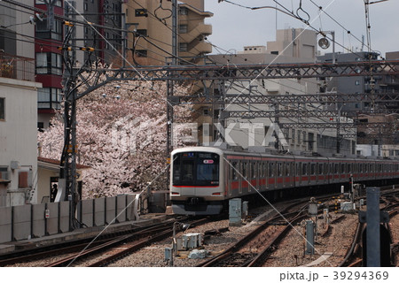東横線と桜　中目黒駅」 39294369