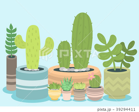 Cactus green plant cactaceous home nature cacti Cactus green plant cactaceous home nature cacti 39294411