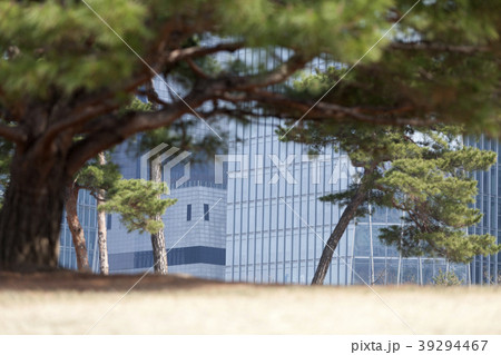 高層ビル 都市 都会 39294467