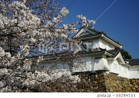 岸和田城と桜 39294533