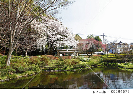 道保川公園(どうほがわこうえん:相模原市) 道保川公園(どうほがわこうえん:相模原市) 39294675