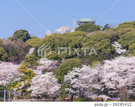 小牧山と小牧城と桜 遠景 小牧山と小牧城と桜 遠景 39295412