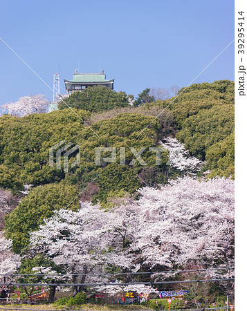 小牧山と小牧城と桜 遠景 小牧山と小牧城と桜 遠景 39295414