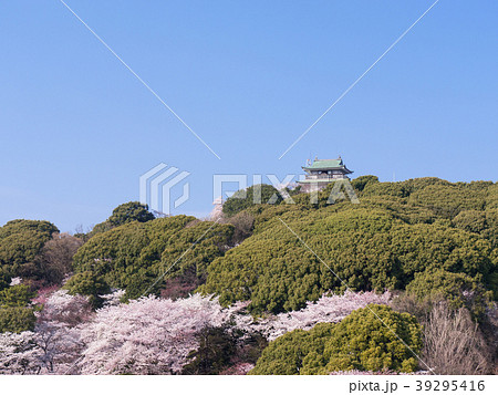 小牧山と小牧城と桜 遠景 小牧山と小牧城と桜 遠景 39295416