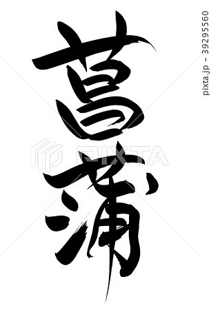筆文字　菖蒲　しょうぶ　イラスト 39295560