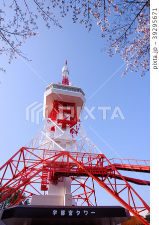 宇都宮市 八幡山公園の宇都宮タワー 宇都宮市 八幡山公園の宇都宮タワー 39295671