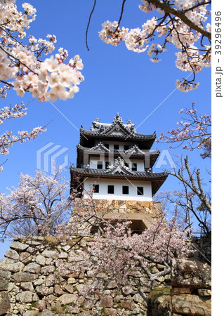 洲本城跡 39296496