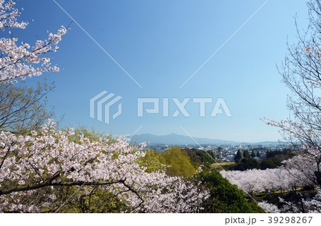 蛇ヶ谷公園　桜 39298267