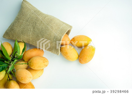 Fresh marian plum or Plango thai fruit isolated Fresh marian plum or Plango thai fruit isolated 39298466
