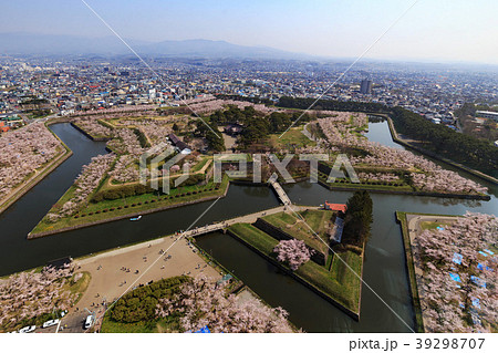 五稜郭の桜 39298707