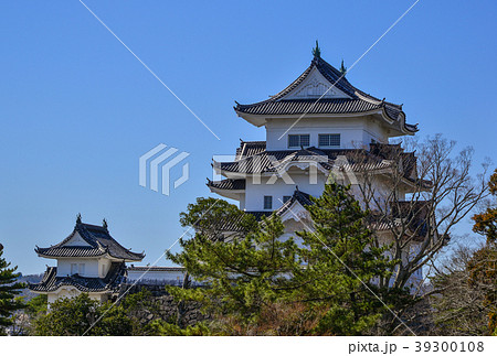 Iga Ueno Castle in Mie, Japan 39300108