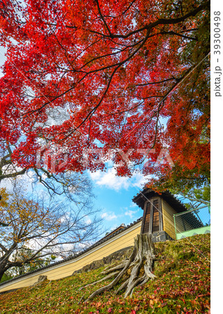 Autumn scenery in Nara, Japan Autumn scenery in Nara, Japan 39300498