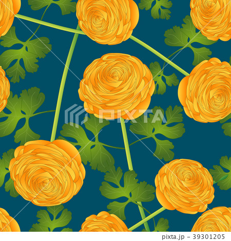 Yellow Ranunculus Flower on Indigo Blue Background 39301205
