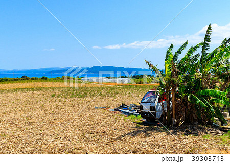沖縄 屋我地島 沖縄 屋我地島 39303743