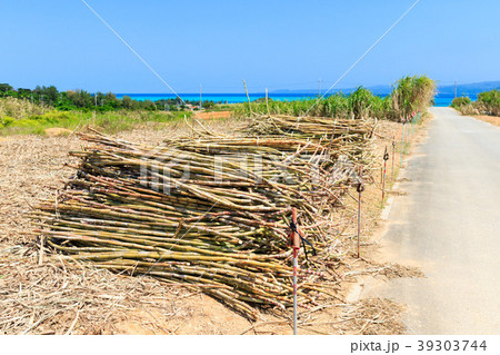 沖縄　屋我地島 39303744