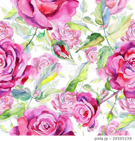 Wildflower rose flower pattern in a watercolor 39305239