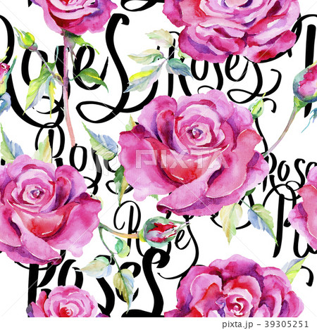 Wildflower rose flower pattern in a watercolor 39305251