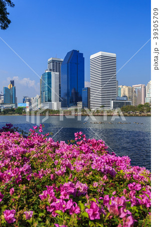 city view at Benjakitti Park, Bangkok, Thailand city view at Benjakitti Park, Bangkok, Thailand 39305709