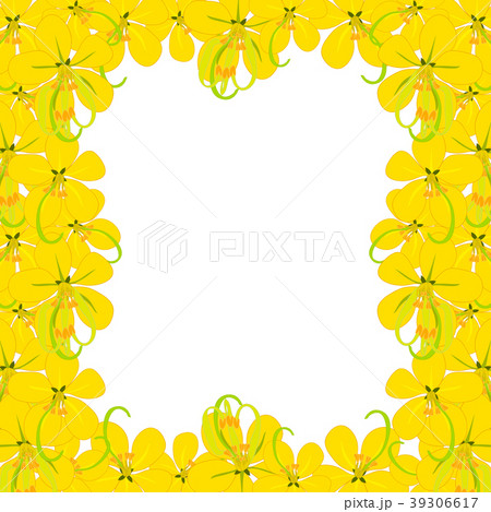 Yellow Cassia Fistula - Golden Shower Flower 39306617