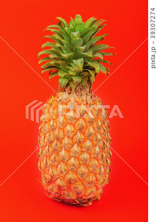 pineapple on a red background 39307274