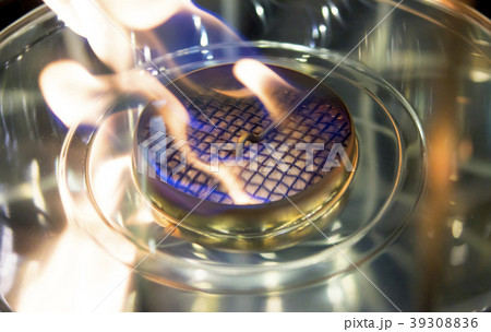 Modern bio fireplot fireplace on ethanol gas 39308836