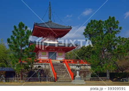 京都府京都市 大覚寺 心経宝塔 京都府京都市 大覚寺 心経宝塔 39309591