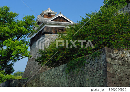 熊本県熊本市　熊本城　飯田丸三層五階櫓 39309592