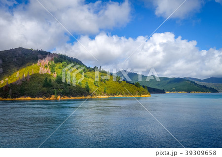 Marlborough Sounds, New Zealand 39309658