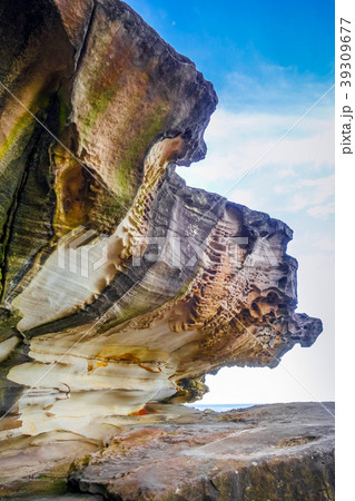 Bondi Beach coastal cliffs, Sydney, Australia 39309677