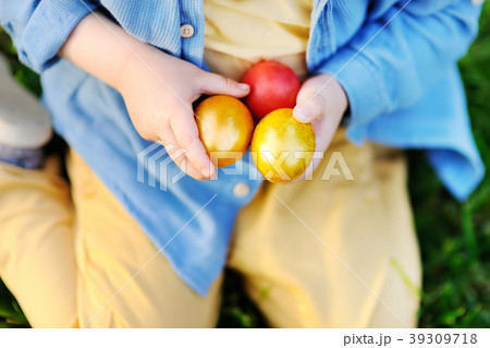 little boy hunting for easter egg  39309718