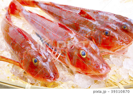 魴鮄 魴鮄 39310870