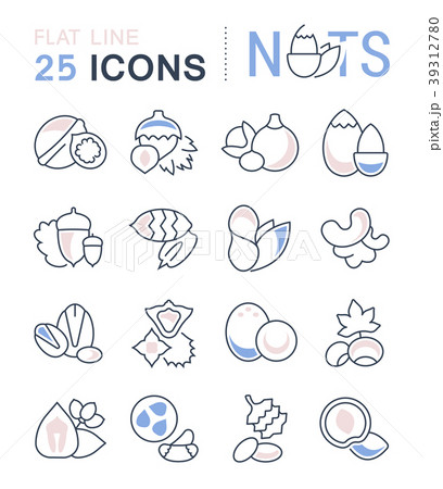 Set Vector Flat Line Icons of Nuts Set Vector Flat Line Icons of Nuts 39312780