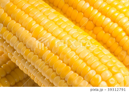 Bright yellow sweet corn closeup Bright yellow sweet corn closeup 39312791