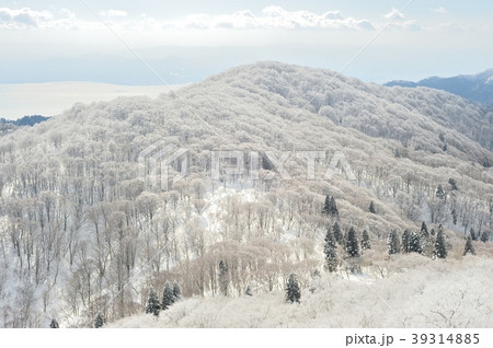 コヤマノ岳：冬 39314885