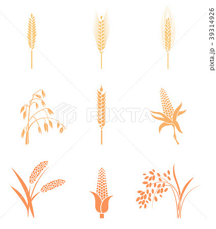 Wheat Ears Icons and Logo Set. Wheat Ears Icons and Logo Set. 39314926