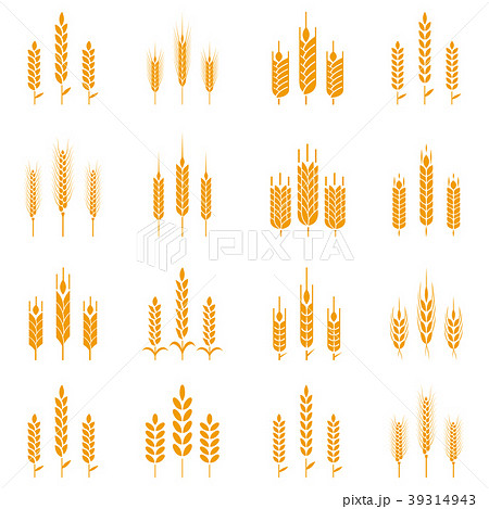 Wheat ear symbols for logo design. Wheat ear symbols for logo design. 39314943